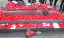 The National War Memorial - Remembrance Day