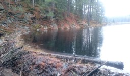 Algonquin Provincial Park