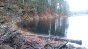 Algonquin Provincial Park