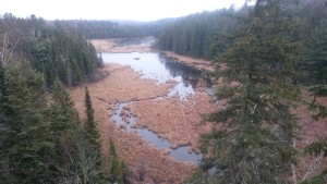 Algonquin Provincial Park