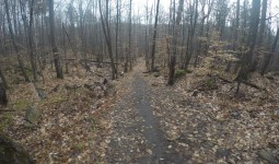 Algonquin Provincial Park